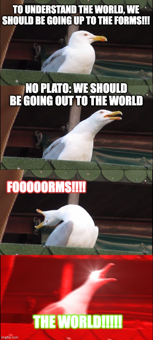PLATO VS ARISTOTLE | TO UNDERSTAND THE WORLD, WE SHOULD BE GOING UP TO THE FORMS!!! NO PLATO: WE SHOULD BE GOING OUT TO THE WORLD; FOOOOORMS!!!! THE WORLD!!!!! | image tagged in memes,inhaling seagull | made w/ Imgflip meme maker
