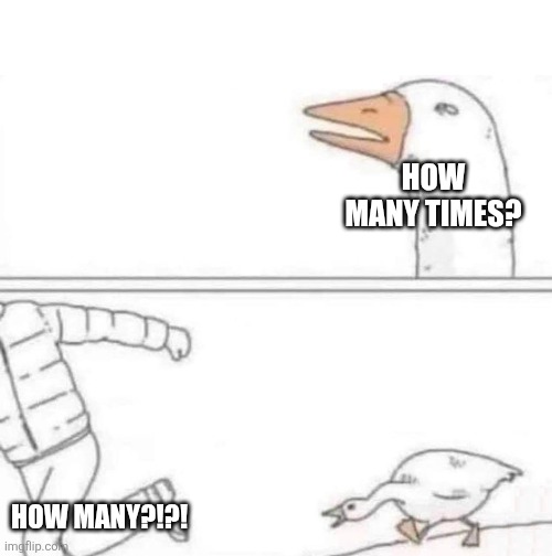 Goose Chase | HOW MANY TIMES? HOW MANY?!?! | image tagged in goose chase | made w/ Imgflip meme maker