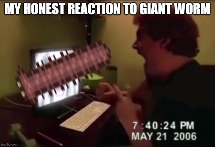 ts thing startled th outta me | MY HONEST REACTION TO GIANT WORM | image tagged in guy punches through computer screen meme,terraria,worm,scary | made w/ Imgflip meme maker
