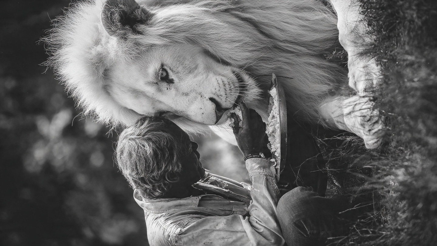 Leon Blank Meme Template