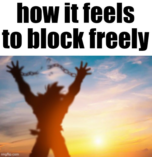 how it feels to block freely | made w/ Imgflip meme maker