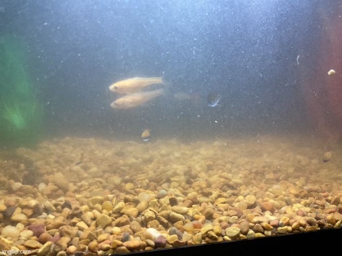 what the fuck are they doing | made w/ Imgflip meme maker