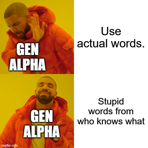 MEME | Use actual words. GEN ALPHA; Stupid words from who knows what; GEN ALPHA | image tagged in memes,drake hotline bling | made w/ Imgflip meme maker