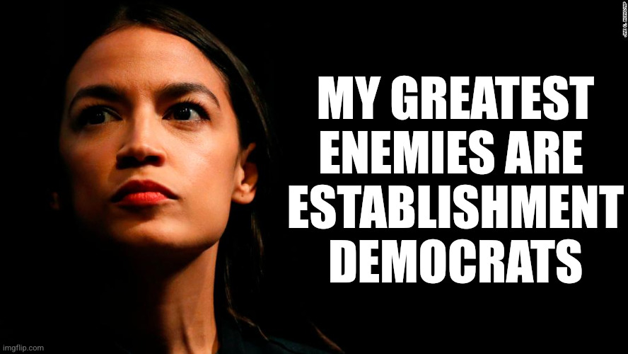 Imagine trying to reform the Democrats?!? | MY GREATEST ENEMIES ARE 
ESTABLISHMENT DEMOCRATS | image tagged in ocasio-cortez super genius,memes,establishment,democrats,primaries,time for change | made w/ Imgflip meme maker