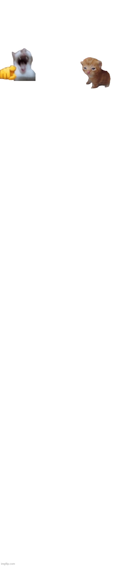 cat or whtever | image tagged in cats | made w/ Imgflip meme maker