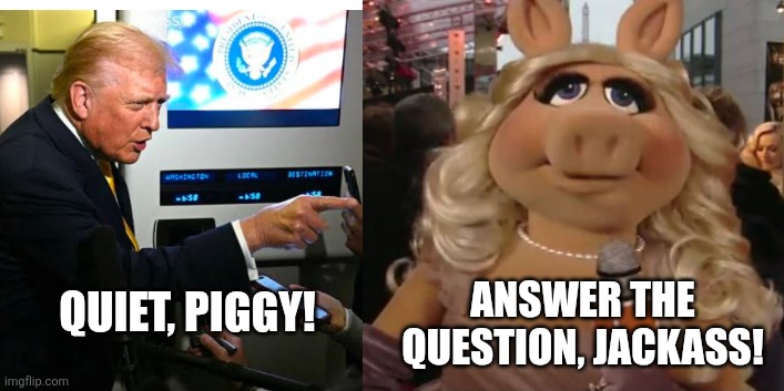 Piggy vs Trump | ANSWER THE QUESTION, JACKASS! QUIET, PIGGY! | image tagged in donald trump,miss piggy | made w/ Imgflip meme maker