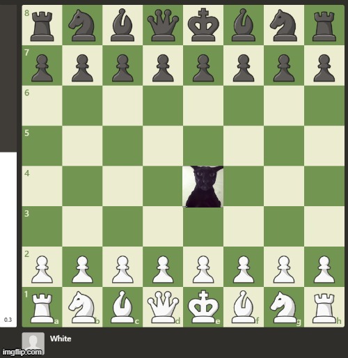 im calling this mpac, short for msmg plays anarchy chess | made w/ Imgflip meme maker