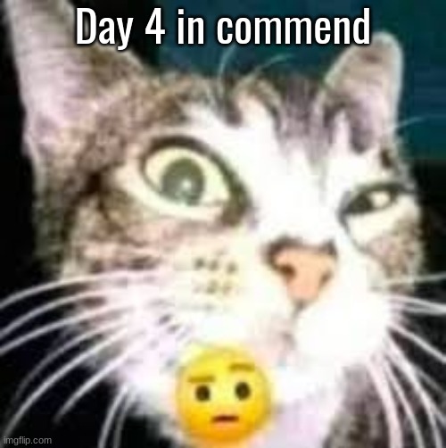 is anyone even reading all of this | Day 4 in commend | made w/ Imgflip meme maker