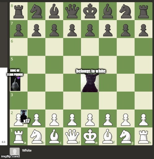 mpac 4 | KING OF TEAM PIKMIN | made w/ Imgflip meme maker