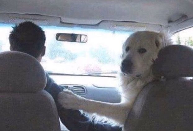 Chrisjoines1 Blank Meme Template