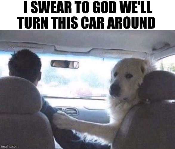 I Swear To God We'll Turn This Car Around | I SWEAR TO GOD WE'LL TURN THIS CAR AROUND | image tagged in chrisjoines1 | made w/ Imgflip meme maker