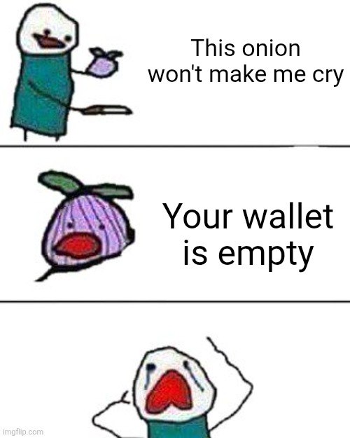 NOOOOOOOOOOOOoooooooooooo○○○○○○○○○○○○ | This onion won't make me cry; Your wallet is empty | image tagged in this onion won't make me cry | made w/ Imgflip meme maker