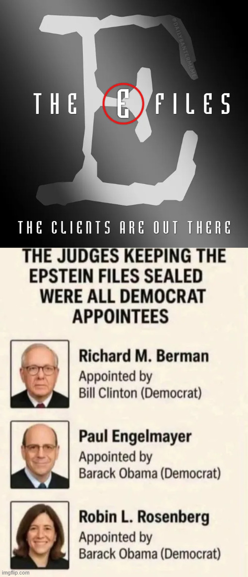 The more you know, the more it makes sense | image tagged in the e files,epstein',dems hiding their mega donor names | made w/ Imgflip meme maker