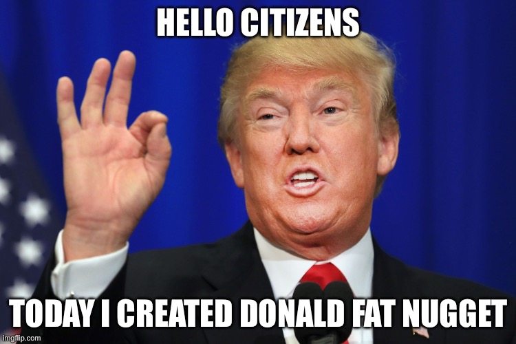 The Best Trump | HELLO CITIZENS; TODAY I CREATED DONALD FAT NUGGET | image tagged in the best trump,funny,fat | made w/ Imgflip meme maker