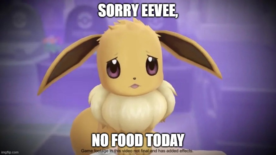 Sad Eevee | SORRY EEVEE, NO FOOD TODAY | image tagged in sad eevee | made w/ Imgflip meme maker
