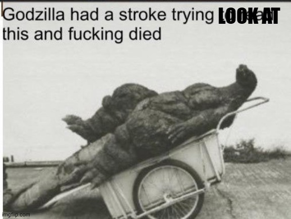 Godzilla | LOOK AT | image tagged in godzilla | made w/ Imgflip meme maker