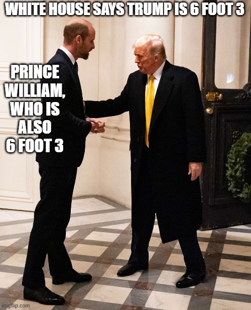 Tall story a little short on the truth. | PRINCE WILLIAM, WHO IS ALSO 6 FOOT 3; WHITE HOUSE SAYS TRUMP IS 6 FOOT 3 | image tagged in donald trump,trump,president trump,prince william,tall | made w/ Imgflip meme maker