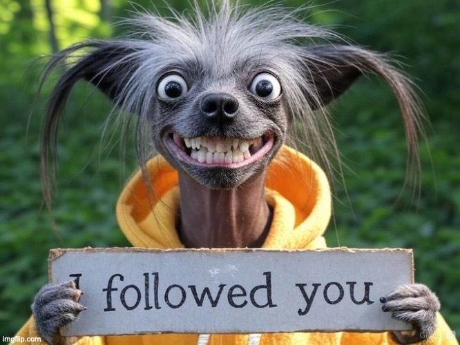 I followed you | image tagged in i followed you | made w/ Imgflip meme maker