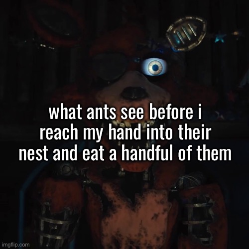 worst post ever | what ants see before i reach my hand into their nest and eat a handful of them | image tagged in foxy | made w/ Imgflip meme maker