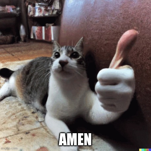 cat with a thumbs up | AMEN | image tagged in cat with a thumbs up | made w/ Imgflip meme maker