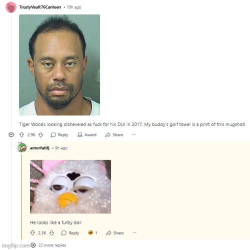 image tagged in tiger woods,dui,furby | made w/ Imgflip meme maker