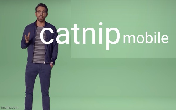 Mint mobile commercial | catnip mobile | image tagged in mint mobile commercial | made w/ Imgflip meme maker