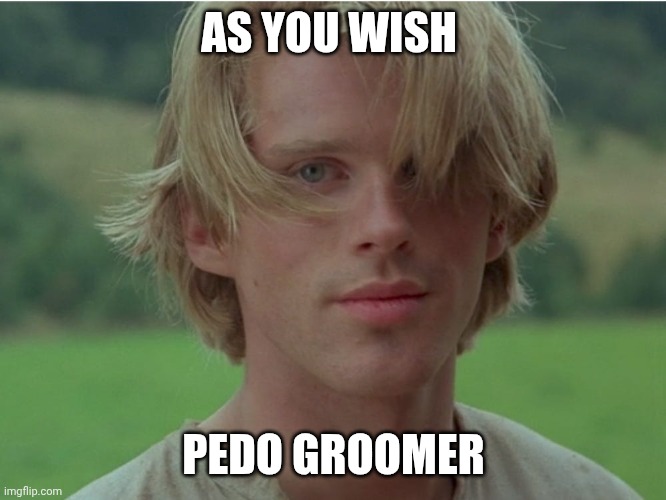 Shoomer da grummer | AS YOU WISH; PEDO GROOMER | image tagged in as you wish | made w/ Imgflip meme maker