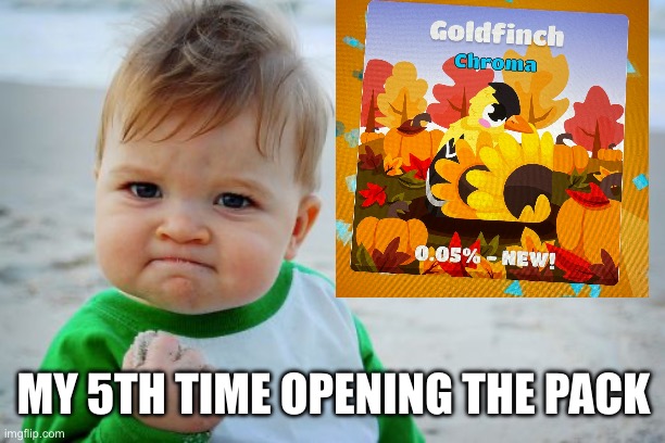 my first chroma too | MY 5TH TIME OPENING THE PACK | image tagged in memes,success kid original,lucky,blooket,funny,yes | made w/ Imgflip meme maker