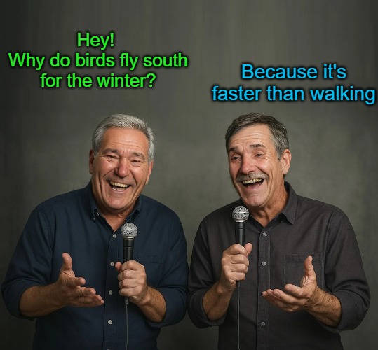 Because it's faster than walking; Hey! 
Why do birds fly south for the winter? | made w/ Imgflip meme maker