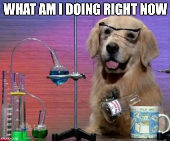 I'm so confident right now | WHAT AM I DOING RIGHT NOW | image tagged in science dog | made w/ Imgflip meme maker