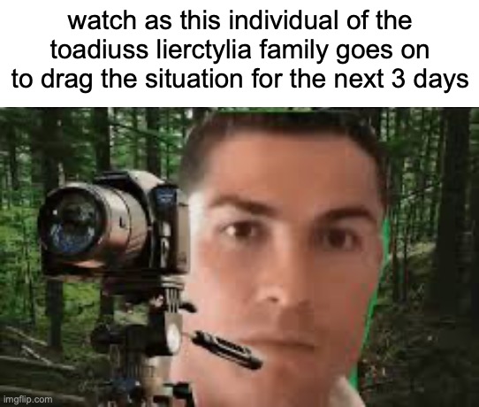 watch as this individual of the toadiuss lierctylia family goes on to drag the situation for the next 3 days | made w/ Imgflip meme maker
