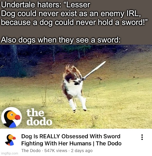 Lesser dog appears! | Undertale haters: “Lesser Dog could never exist as an enemy IRL, 
because a dog could never hold a sword!”
 
Also dogs when they see a sword: | image tagged in lesser dog,undertale,funny,rpg,sword,dogs | made w/ Imgflip meme maker