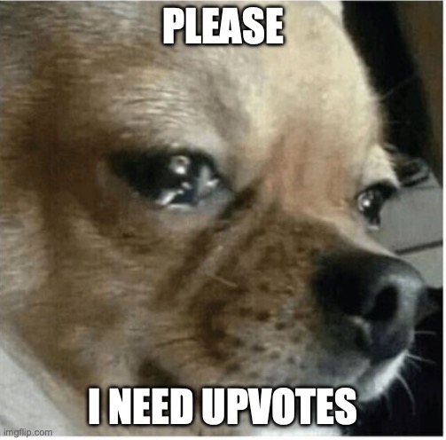 sad boi | PLEASE; I NEED UPVOTES | image tagged in sad boi | made w/ Imgflip meme maker