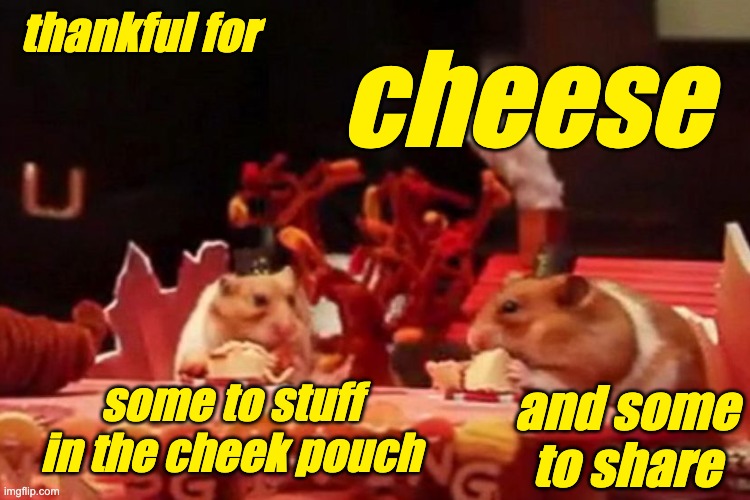 Have a delightful Rodent Thanksgiving | thankful for; cheese; some to stuff in the cheek pouch; and some to share | image tagged in rodents,holidays,hamster,cheese,food,friends | made w/ Imgflip meme maker
