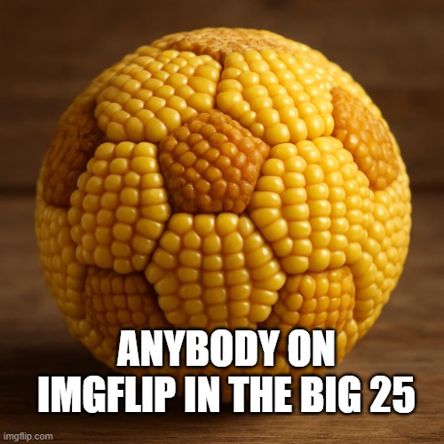 cornballs vro | ANYBODY ON IMGFLIP IN THE BIG 25 | image tagged in fun,last words | made w/ Imgflip meme maker