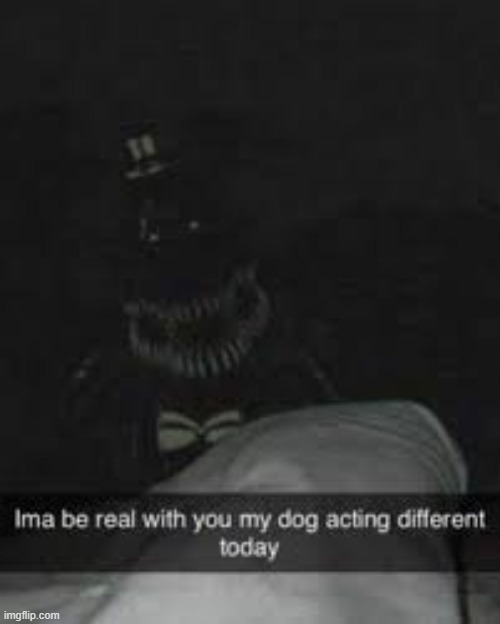 Bruh is my dog alright?, got any tutorials on how to do an exorcism? | image tagged in random bullshit go,shitpos,scary,why did i make this | made w/ Imgflip meme maker