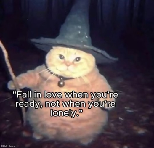 O' Mighty wizard cat what's your wisdom | made w/ Imgflip meme maker