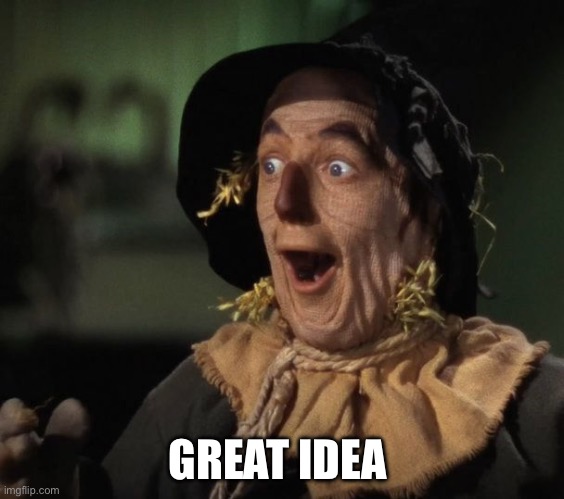 GREAT IDEA | image tagged in straw man - what a great idea | made w/ Imgflip meme maker