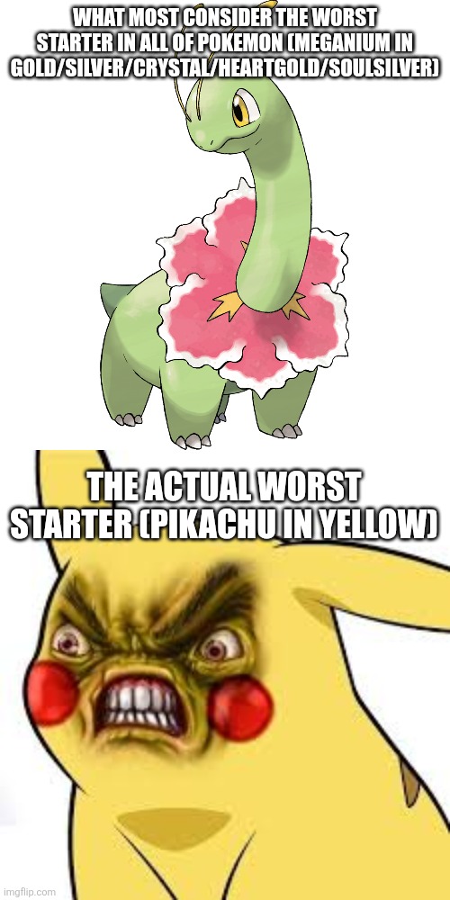 Meganium is no where near as bad as Pikachu in Yellow Version | WHAT MOST CONSIDER THE WORST STARTER IN ALL OF POKEMON (MEGANIUM IN GOLD/SILVER/CRYSTAL/HEARTGOLD/SOULSILVER); THE ACTUAL WORST STARTER (PIKACHU IN YELLOW) | image tagged in fraudster meganium,pissed off pikachu | made w/ Imgflip meme maker