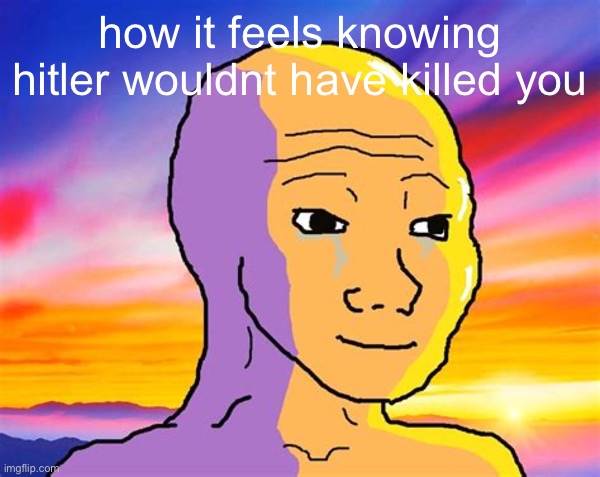 Sunset Wojak | how it feels knowing hitler wouldnt have killed you | image tagged in sunset wojak | made w/ Imgflip meme maker