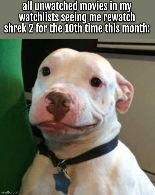 Awkward Dog | all unwatched movies in my watchlists seeing me rewatch shrek 2 for the 10th time this month: | image tagged in awkward dog | made w/ Imgflip meme maker