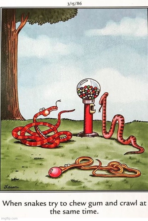 Snakes are bad at multitasking… | image tagged in the far side,comics,snakes,crawl,chew gum | made w/ Imgflip meme maker