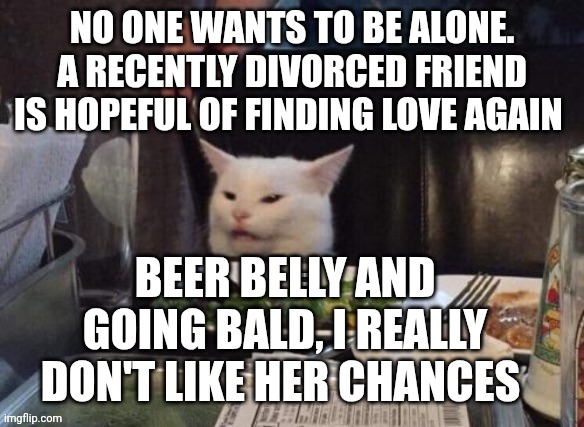 Smudge that darn cat | NO ONE WANTS TO BE ALONE. A RECENTLY DIVORCED FRIEND IS HOPEFUL OF FINDING LOVE AGAIN; BEER BELLY AND GOING BALD, I REALLY DON'T LIKE HER CHANCES | image tagged in smudge that darn cat | made w/ Imgflip meme maker