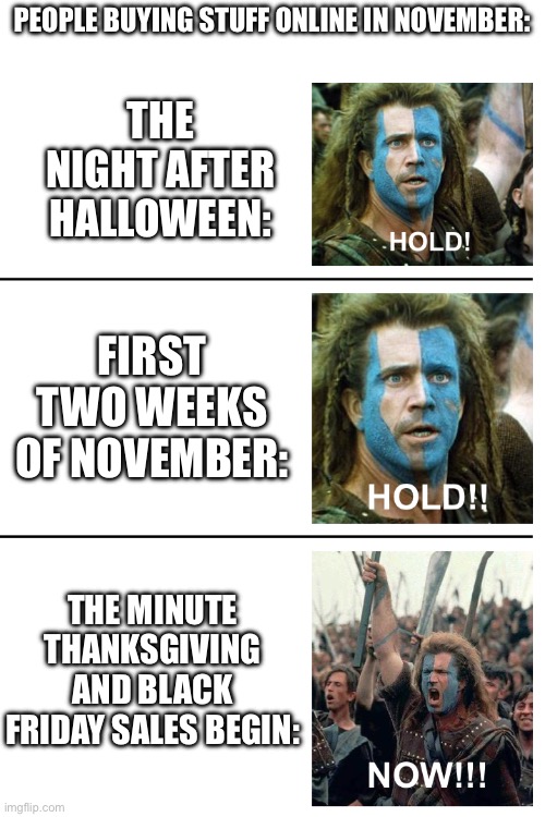 I made this meme because I’m expecting a package from an online order the upcoming Wednesday. Anyone else? | PEOPLE BUYING STUFF ONLINE IN NOVEMBER:; THE NIGHT AFTER HALLOWEEN:; FIRST TWO WEEKS OF NOVEMBER:; THE MINUTE THANKSGIVING AND BLACK FRIDAY SALES BEGIN: | image tagged in hold hold now,black friday,online shopping,relatable,thanksgiving,oh wow are you actually reading these tags | made w/ Imgflip meme maker