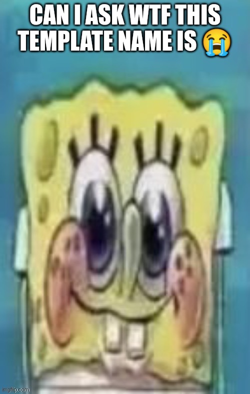 sporko and and alexis are so hot | CAN I ASK WTF THIS TEMPLATE NAME IS 😭 | image tagged in sporko and and alexis are so hot | made w/ Imgflip meme maker