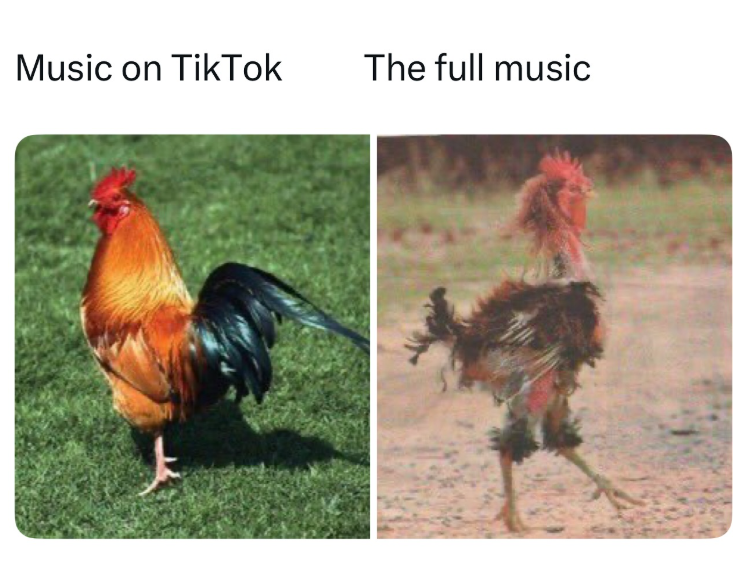 hen Blank Meme Template