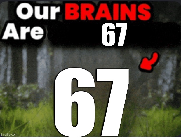 Our brains are GONE | 67 67 | image tagged in our brains are gone | made w/ Imgflip meme maker