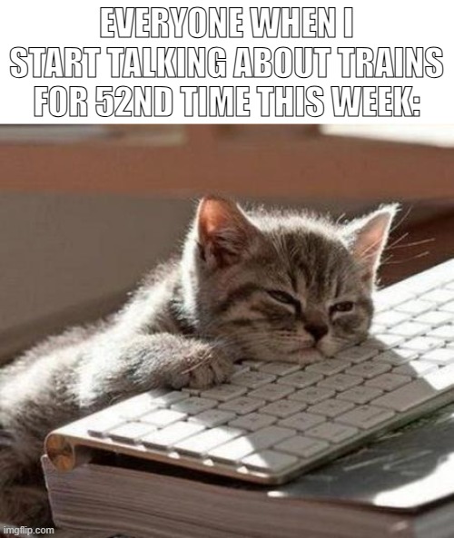tired cat | EVERYONE WHEN I START TALKING ABOUT TRAINS FOR 52ND TIME THIS WEEK: | image tagged in tired cat | made w/ Imgflip meme maker