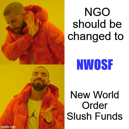 How do you think politicians get rich? | NGO should be changed to; NWOSF; New World Order Slush Funds | image tagged in memes,drake hotline bling | made w/ Imgflip meme maker