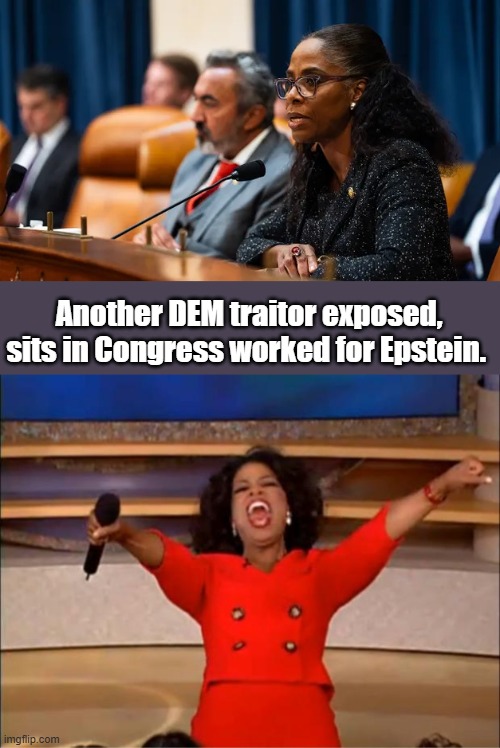 Another DEM traitor exposed, sits in Congress worked for Epstein. | image tagged in memes,oprah you get a | made w/ Imgflip meme maker